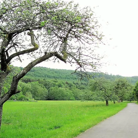 Spacious In The Vulkaneifel Apartment *