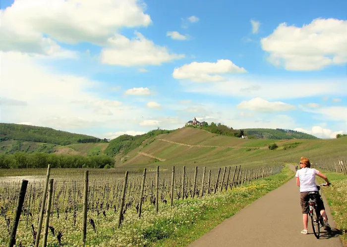 Apartment In With Garden And Bbq *