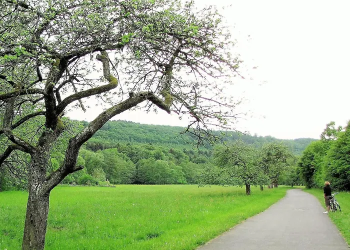 Apartment In With Garden And Bbq